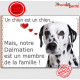 Dalmatien Tête, Plaque Portail un chien est un chien, membre de la famille, pancarte, affiche panneau photo