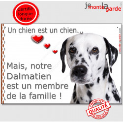 Dalmatien Tête, plaque "Membre de la Famille" 24 cm LOVE