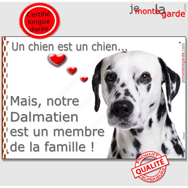 Dalmatien Tête, Plaque Portail un chien est un chien, membre de la famille, pancarte, affiche panneau photo