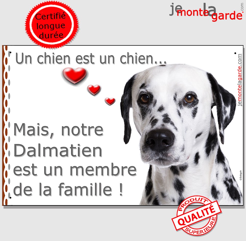 Dalmatien Pancarte Portail Un Chien Est Un Membre De La Famille