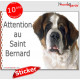 Saint-Bernard, panneau autocollant "Attention au Chien" Pancarte sticker photo adhésif