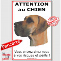 Danois Fauve, plaque portail "Attention au Chien" 24 cm ECO