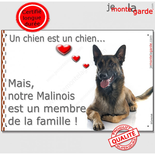 Berger Belge Malinois couché, plaque "Membre de la Famille" intérieur ou extérieur coeur pancarte chien