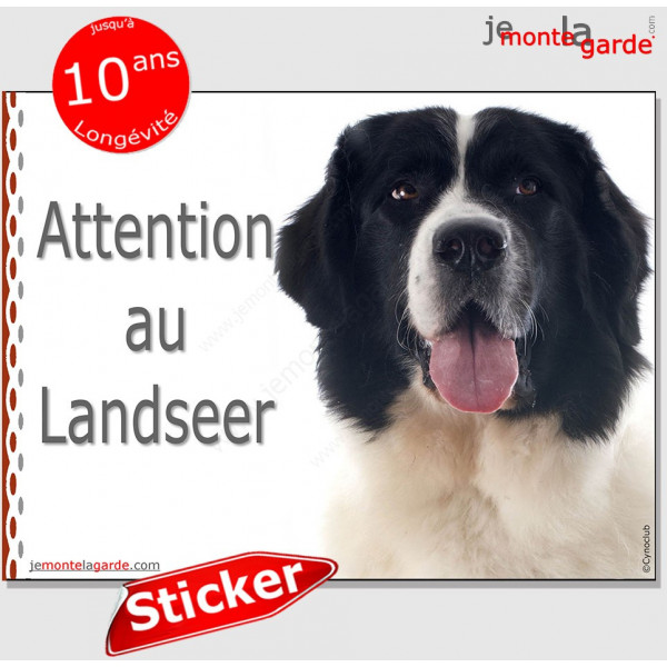 Landseer, panneau autocollant "Attention au Chien" Pancarte sticker photo race adhésif
