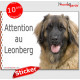 Leonberg, panneau autocollant "Attention au Chien" pancarte photo, sticker adhésif portail