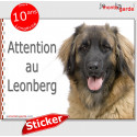 Leonberg, autocollant "Attention au Chien" 16 cm