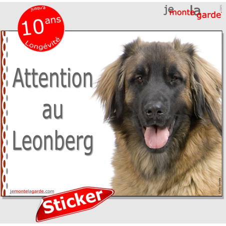 Leonberg, autocollant "Attention au Chien" 16 cm Leonberg, autocollant "Attention au Chien" 16 cm