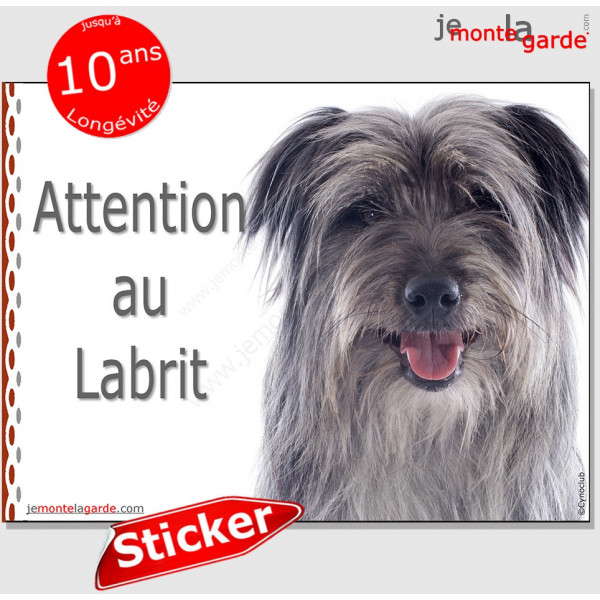 Berger des Pyrénées gris bleu, panneau autocollant "Attention au Chien" pancarte sticker photo adhésif Labrit