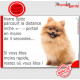 Spitz Fauve orange assis, Plaque Portail humoristique, pancarte, affiche panneau drôle, attention chien parcourt la distance nic