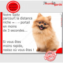 Spitz Fauve, plaque humour "distance Niche - Portail" 24 cm 3SEC