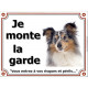 Shetland Merle Tête, Plaque portail Je Monte la Garde, panneau affiche pancarte, risques périls attention au chien