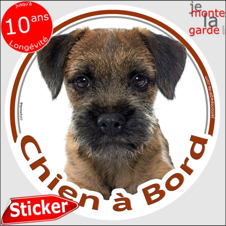 Border Terrier Tête, sticker autocollant rond "Chien à Bord" adhésif photo vitre voiture auto, résiste pluie soleil gel, idée ca