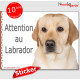 Labrador sable, panneau autocollant "Attention au Chien" Pancarte photo sticker adhésif jaune beige