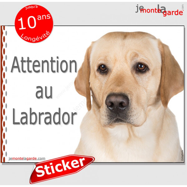 Labrador sable, panneau autocollant "Attention au Chien" Pancarte photo sticker adhésif jaune beige