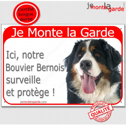 Bouvier Bernois Tête, Plaque Portail rouge "Je Monte la Garde, surveille protège" pancarte, affiche panneau photo