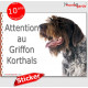 Griffon Korthals, panneau sticker autocollant "Attention au Chien", Photo pancarte plaque adhésif affiche