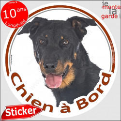 Beauceron, sticker voiture "Chien à Bord" 2 tailles