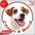 Jack Russell, sticker "Chien à Bord" 14 cm