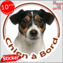 Jack Russell, sticker voiture "Chien à Bord" 2 tailles