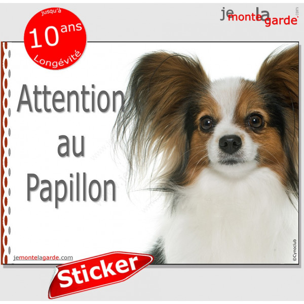 Epagneul Nain Continental Papillon, panneau autocollant "Attention au Chien" Pancarte sticker photo