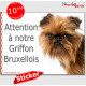 Griffon Bruxellois, panneau autocollant "Attention au Chien" Pancarte sticker photo adhésif