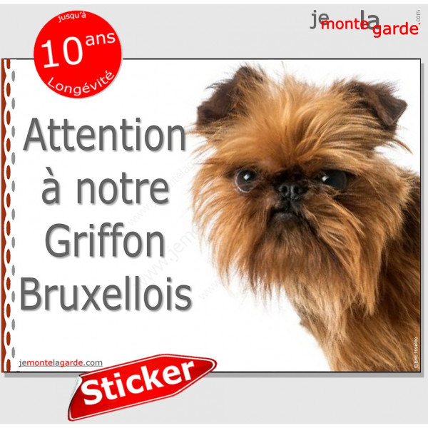 Griffon Bruxellois, panneau autocollant "Attention au Chien" Pancarte sticker photo adhésif