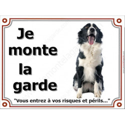Border Collie sympa Assis, Plaque portail "Je Monte la Garde, risques périls" panneau affiche pancarte photo