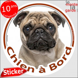 Carlin Fauve, sticker voiture "Chien à Bord" 14 cm