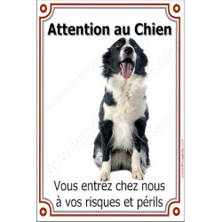 Border Collie Assis, plaque portail "Attention au Chien" 24 cm LUX