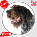 Korthals, sticker rond "photo" 14 cm