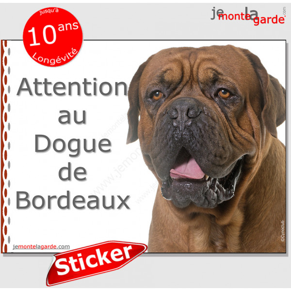 Dogue de Bordeaux face noire, panneau autocollant "Attention au Chien" sticker pancarte adhésif photo masque noir