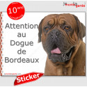 Dogue de Bordeaux, autocollant "Attention au Chien" 16 x 12 cm