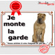 Shar-Peï fauve marron, plaque portail "Je Monte la Garde, risques périls" pancarte panneau photo Sharpei