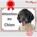 Chien Eau Espagnol, plaque portail "Attention au Chien" 24 cm LUX C