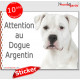Dogue Argentin, disque autocollant "Attention au Chien" Sticker photo adhésif