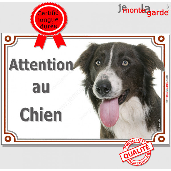 Border Collie marron et blanc, plaque "Attention au Chien" pancarte photo race, panneau portail