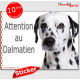 Dalmatien, panneau autocollant "Attention au Chien" pancarte sticker photo adhésif
