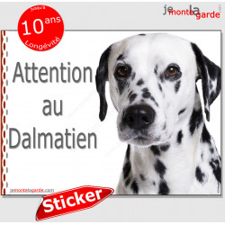 Dalmatien, autocollant "Attention au Chien" 16 cm