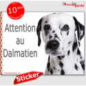 Dalmatien, autocollant "Attention au Chien" 16 cm
