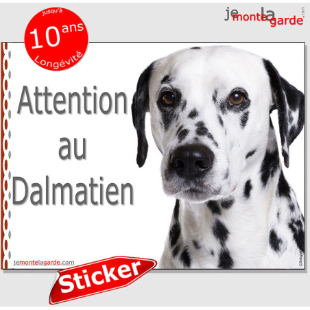 Dalmatien, autocollant "Attention au Chien" 16 cm Dalmatien, autocollant "Attention au Chien" 16 cm