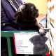 Photo client - plaque portail humour "Attention au Chien, notre Carlin noir est une sonnette" pancarte panneau drôle photo