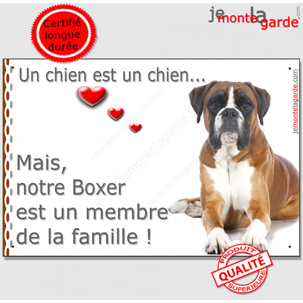 Boxer Fauve Couché, Plaque "un chien est un membre de la famille" pancarte, affiche panneau photo idée cadeau