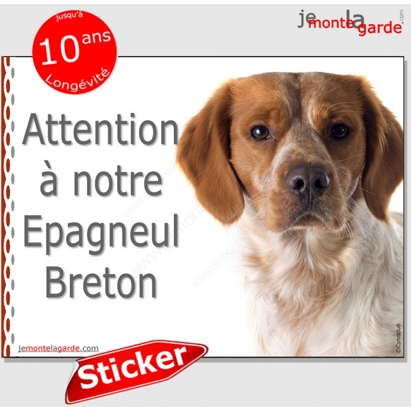 Epagneul Breton orange et blanc, panneau autocollant "Attention au Chien" Pancarte sticker photo race, plaque adhésif Espagnol