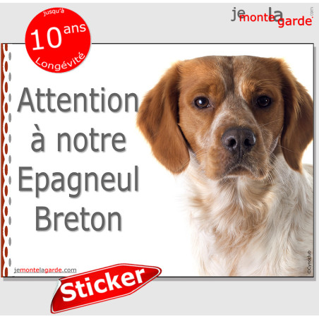 Epagneul Breton orange, autocollant photo "Attention au Chien" résiste pluie soleil gel, idée cadeau, 16 cm Epagneul Breton orange, autocollant photo "Attention au Chien" résiste pluie soleil gel, idée cadeau, 16 cm