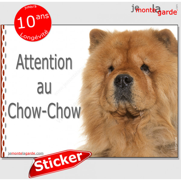 Chow-Chow fauve marron, panneau autocollant extérieur "Attention au Chien" Sticker photo adhésif, pancarte entrée
