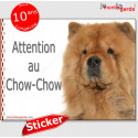 Chow-Chow fauve, autocollant photo extérieur "Attention au Chien" 16 cm