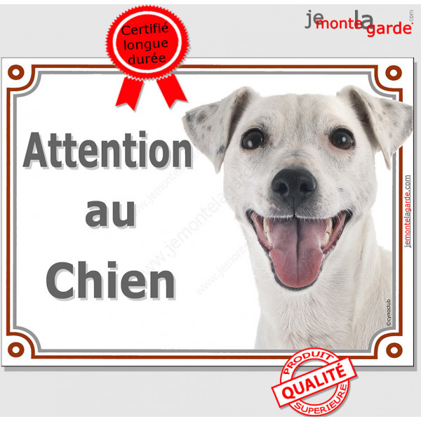 Jack Russell Terrier entièrement blanc Tête, plaque portail 'Attention au Chien" pancarte panneau affiche photo