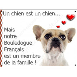 Bouledogue Français Caille Fauve Tête, Plaque "un chien est un membre de la famille, pancarte, affiche panneau photo idée cadeau
