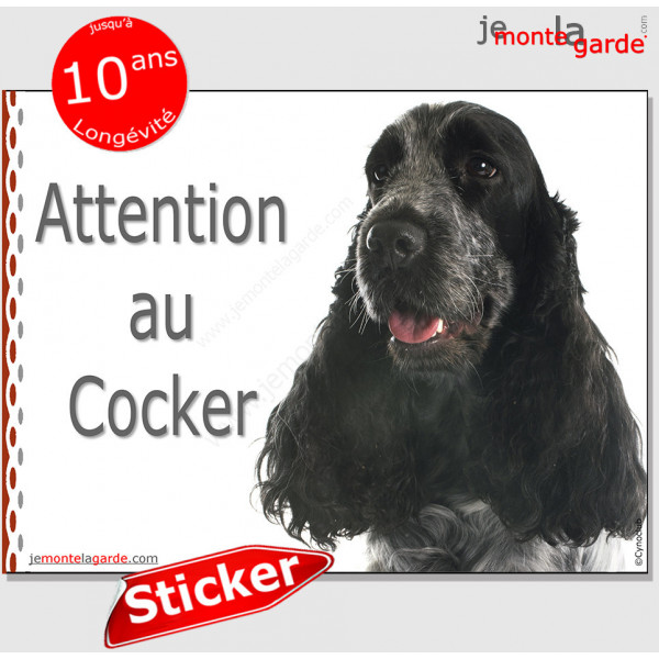 Cocker Anglais Spaniel bleu, panneau autocollant "Attention au Chien" Pancarte photo sticker adhésif