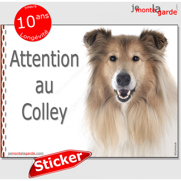 Colley fauve, panneau autocollant "Attention au Chien" pancarte sticker adhésif photo portail
